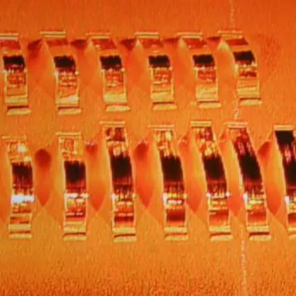 2025新澳门免费原料宝典