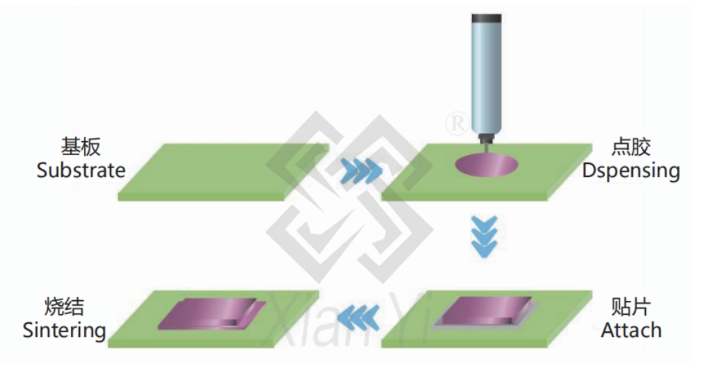 2025新澳门免费原料宝典