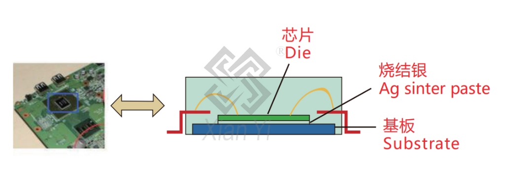 2025新澳门免费原料宝典