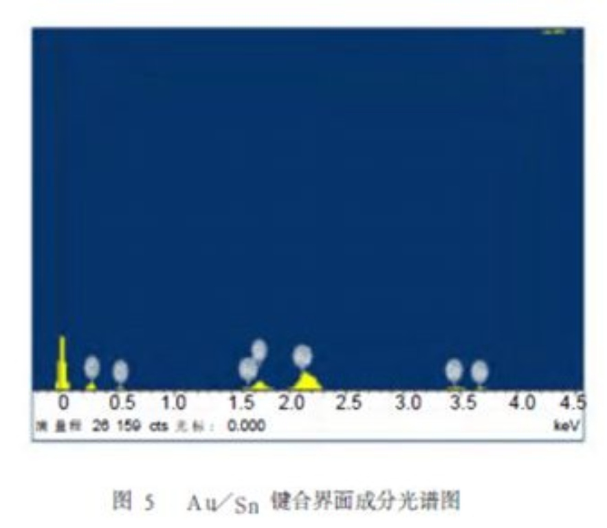 2025新澳门免费原料宝典