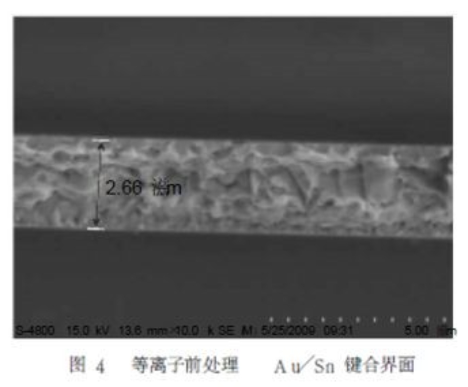 2025新澳门免费原料宝典