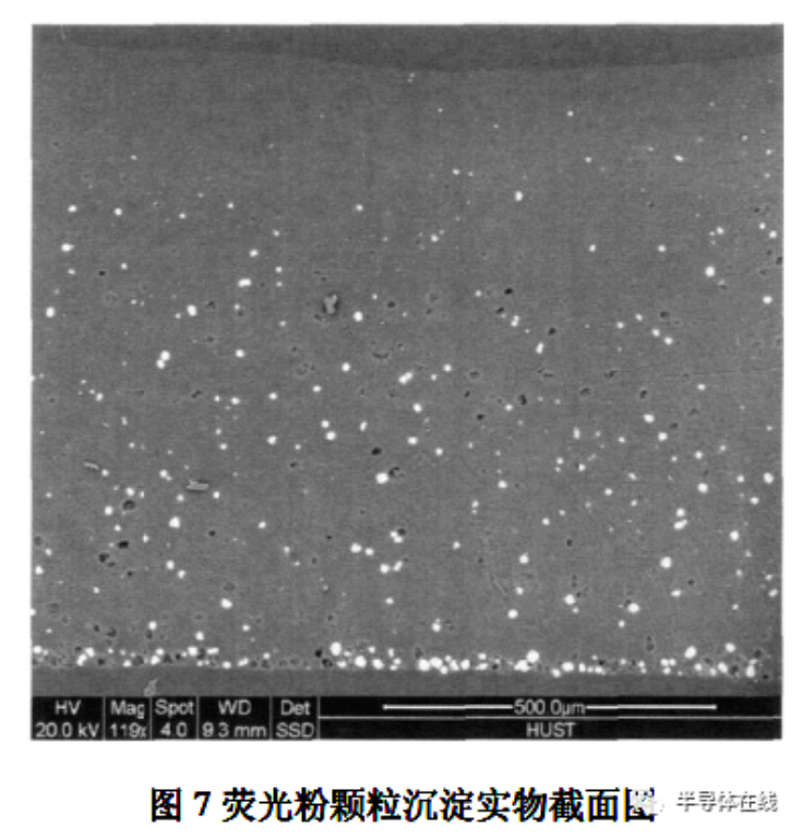2025新澳门免费原料宝典