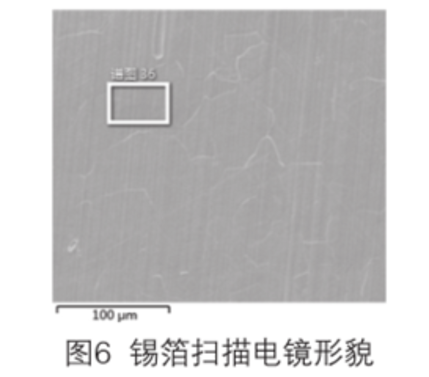 2025新澳门免费原料宝典