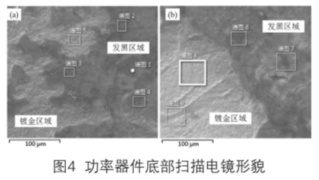 2025新澳门免费原料宝典
