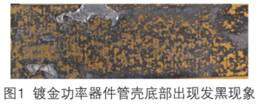 2025新澳门免费原料宝典