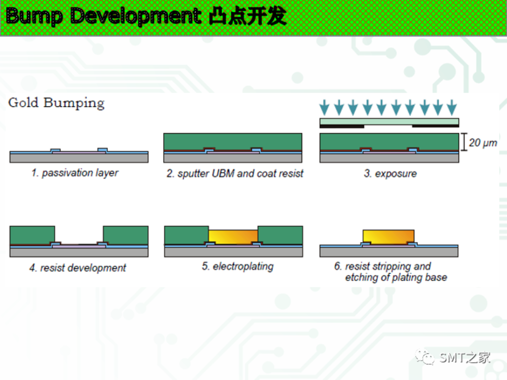 2025新澳门免费原料宝典