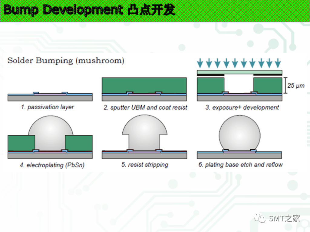 2025新澳门免费原料宝典
