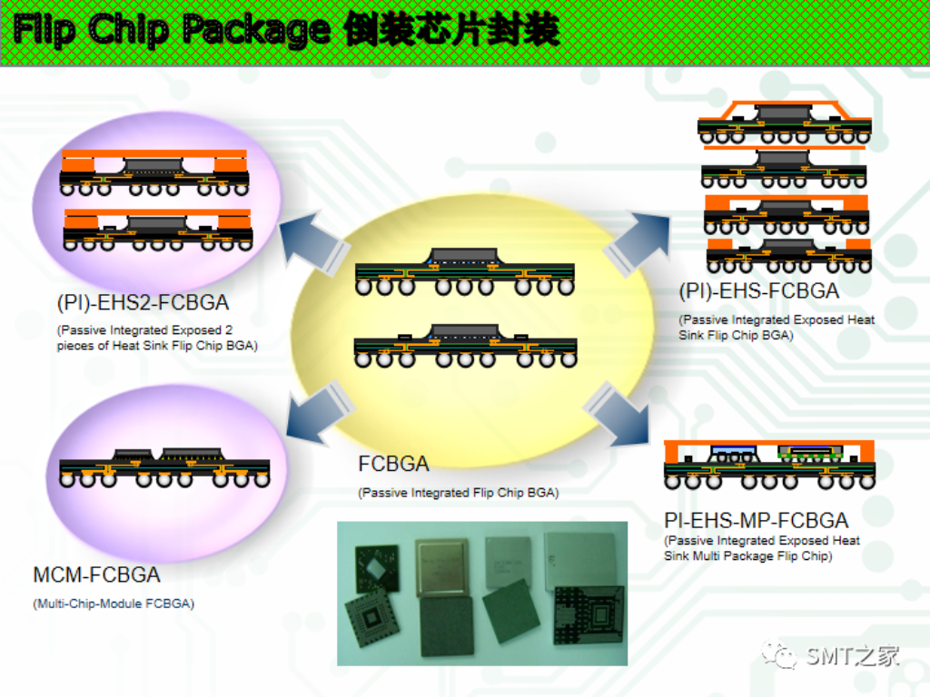 2025新澳门免费原料宝典
