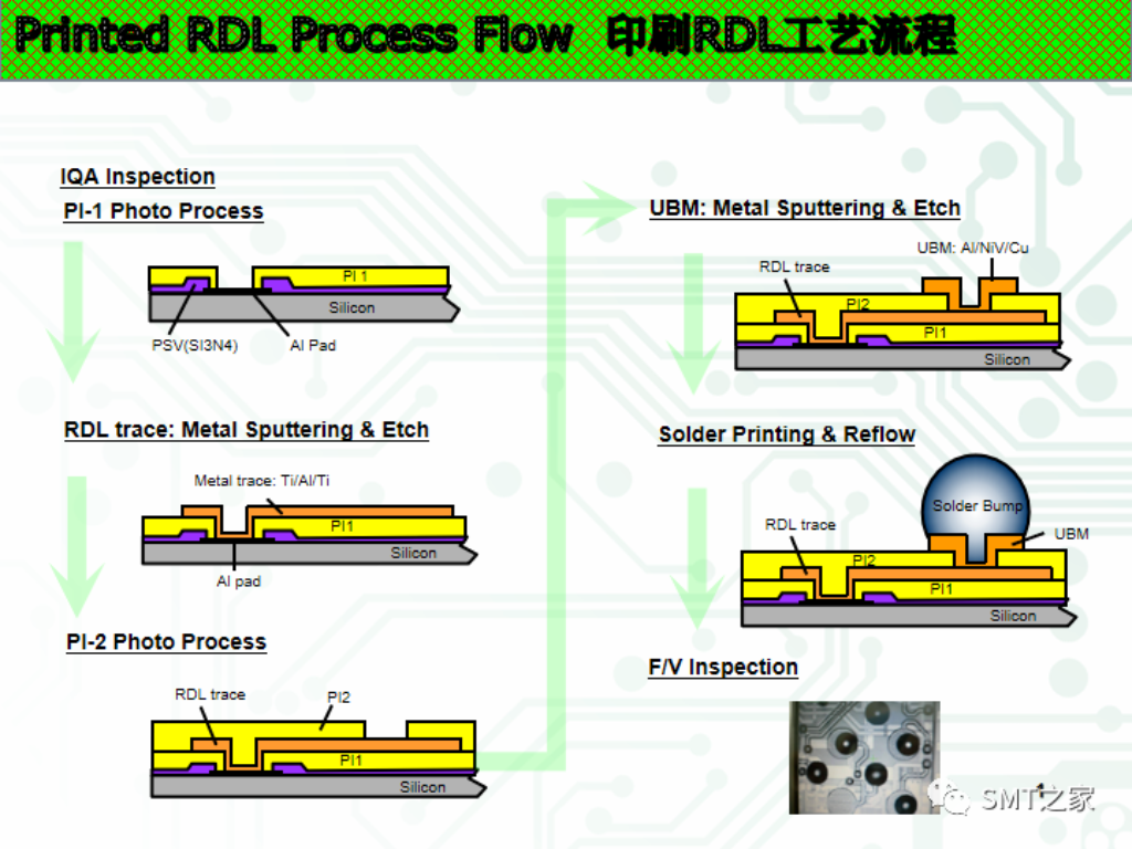 2025新澳门免费原料宝典