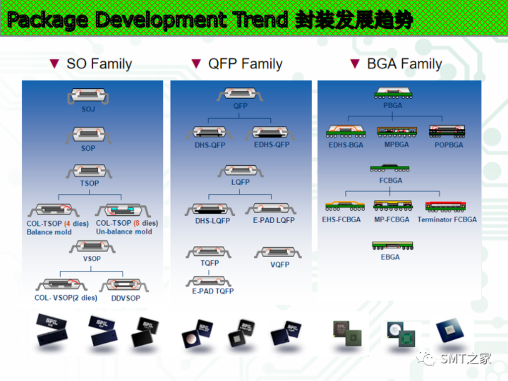 2025新澳门免费原料宝典