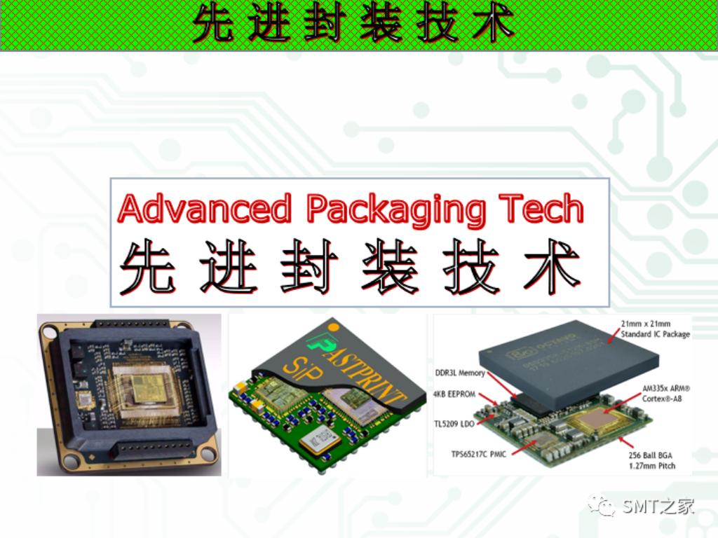 2025新澳门免费原料宝典