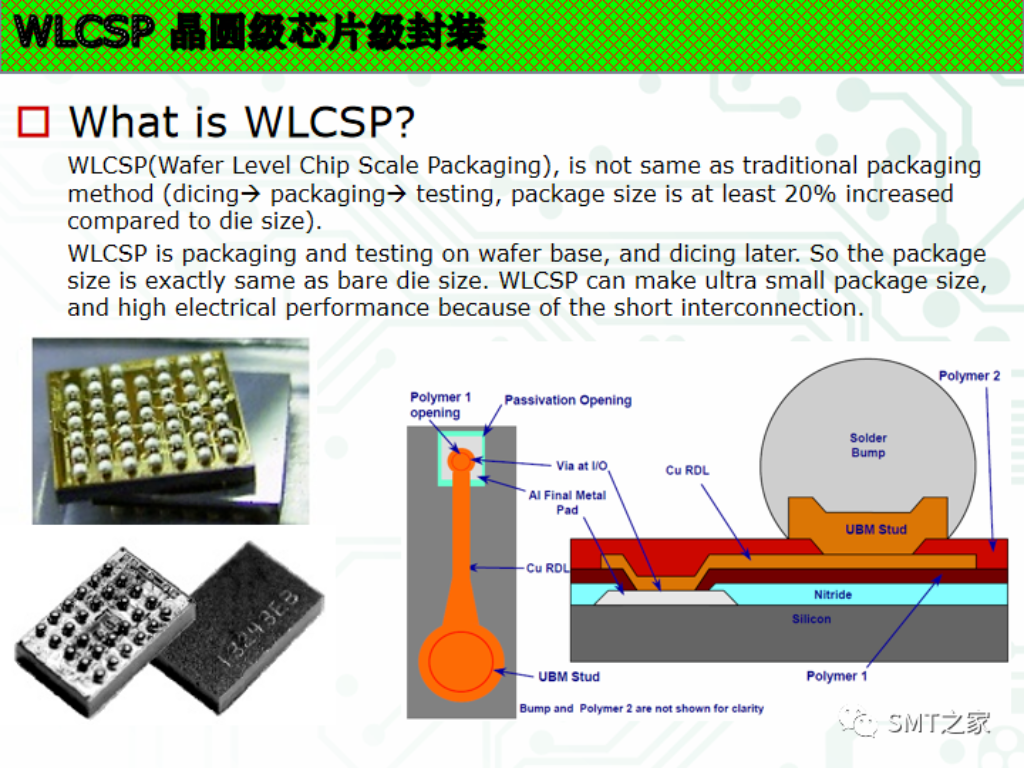 2025新澳门免费原料宝典