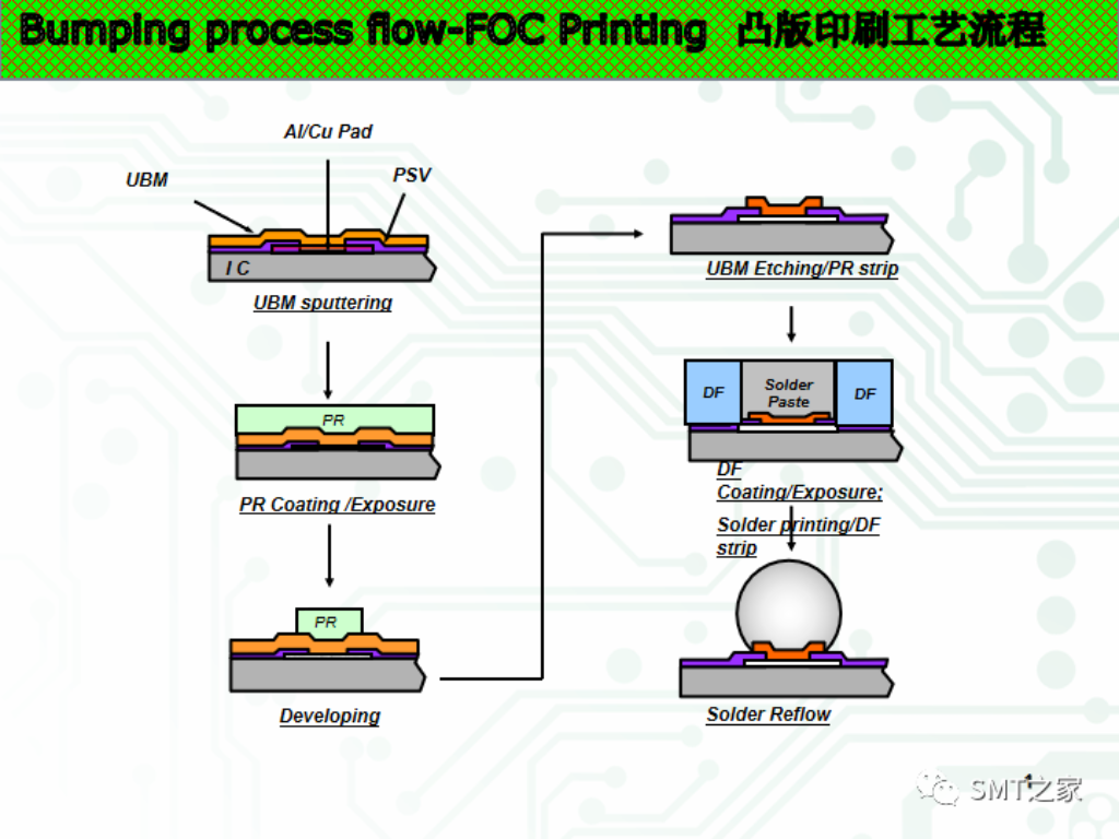 2025新澳门免费原料宝典