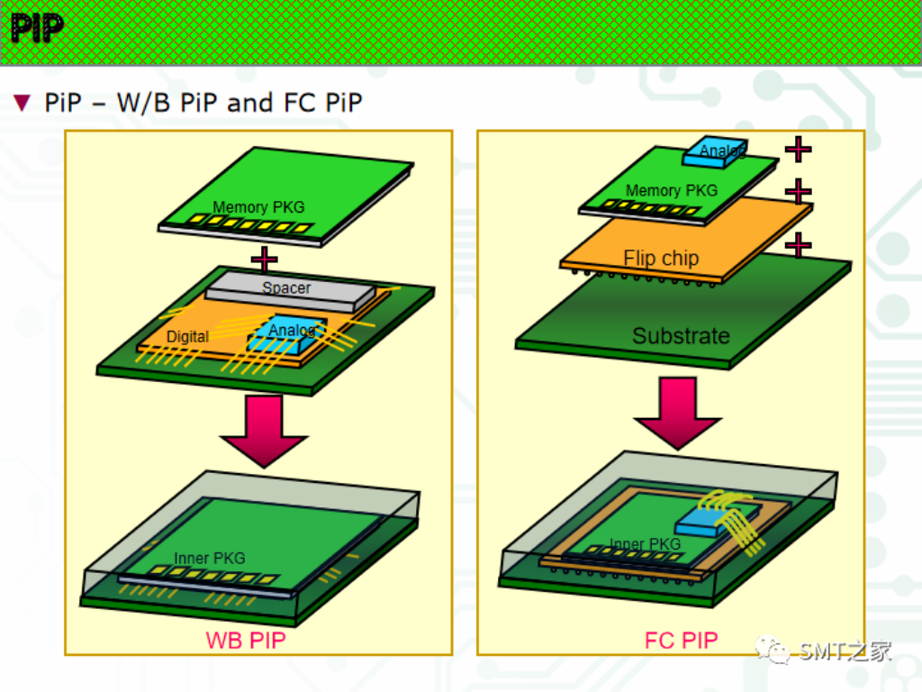 2025新澳门免费原料宝典