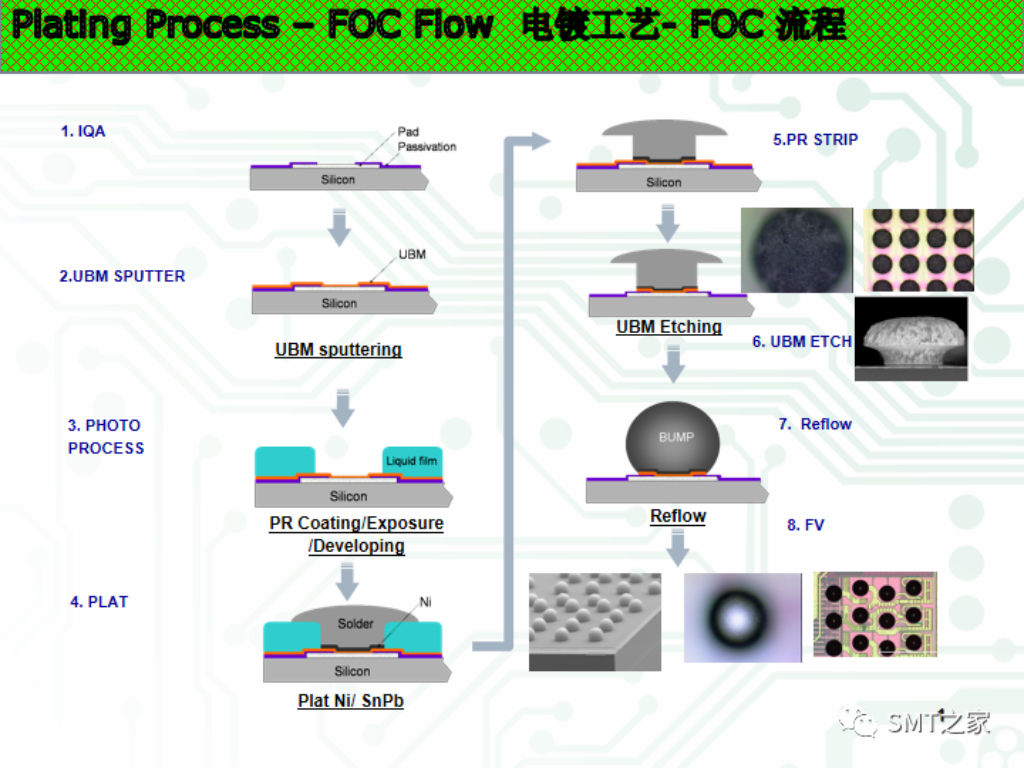 2025新澳门免费原料宝典