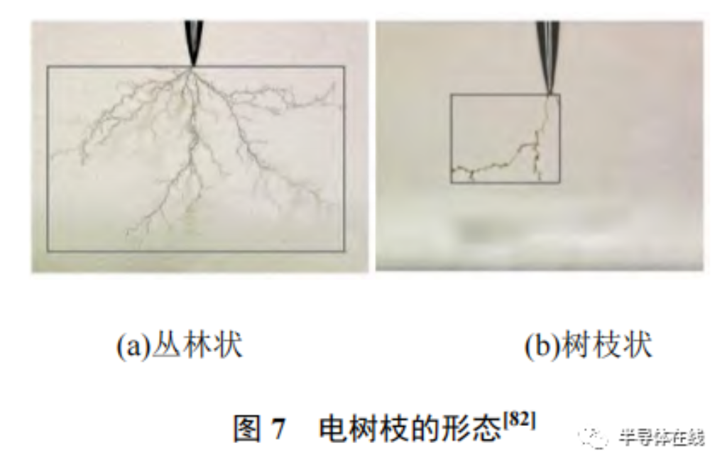 2025新澳门免费原料宝典